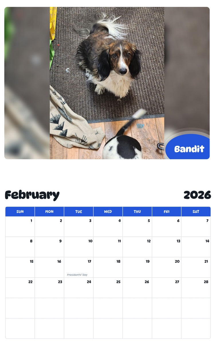 October 2025 - September 2026 Bandit - Pawidols Pet Calendar