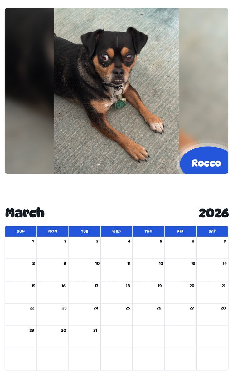 November 2025 - October 2026 Rocco - Pawidols Pet Calendar
