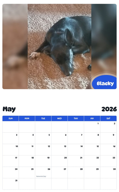 2026 - 2027 Blacky - Pawidols Pet Calendar