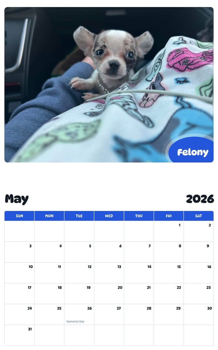 2026 - 2027 Felony - Pawidols Pet Calendar