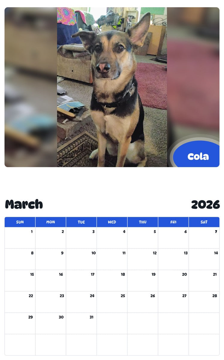 November 2025 - October 2026 Cola - Pawidols Pet Calendar