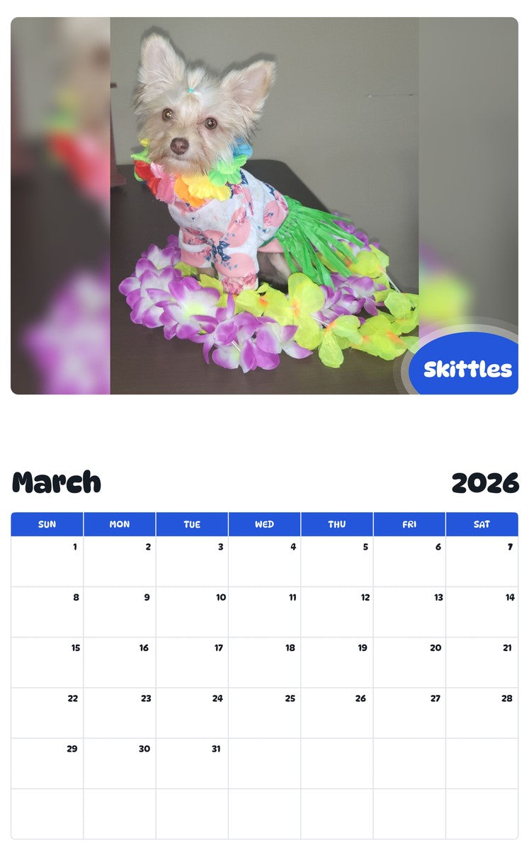 November 2025 - October 2026 Skittles - Pawidols Pet Calendar