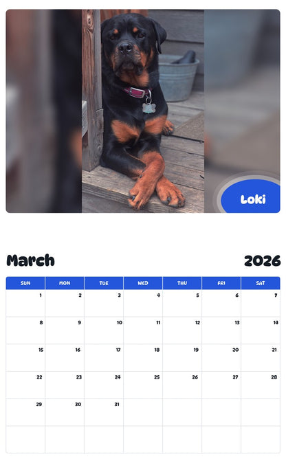 November 2025 - October 2026 Loki - Pawidols Pet Calendar