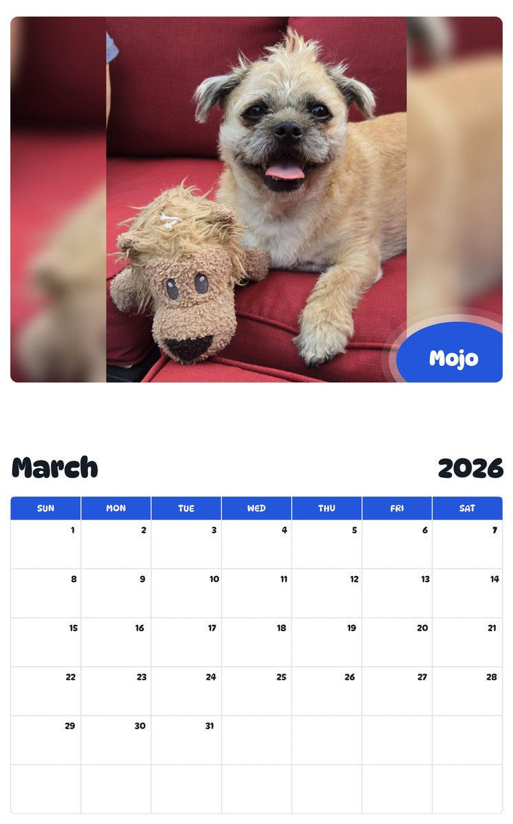 November 2025 - October 2026 Mojo - Pawidols Pet Calendar