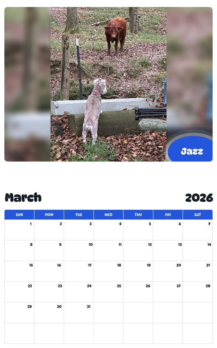 November 2025 - October 2026 Jazz - Pawidols Pet Calendar