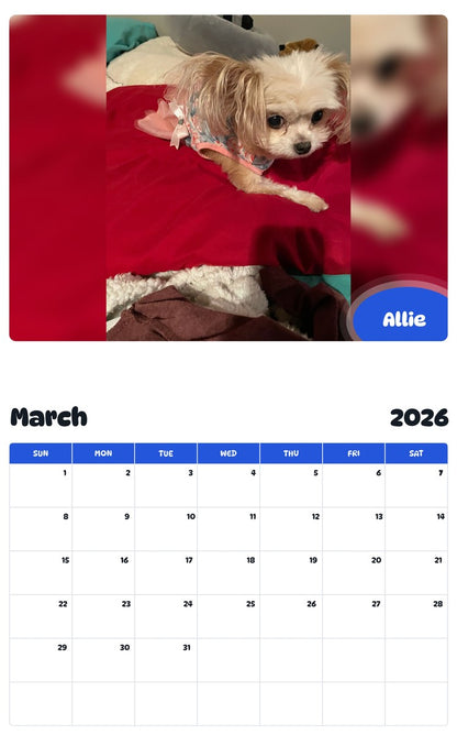 November 2025 - October 2026 Allie - Pawidols Pet Calendar