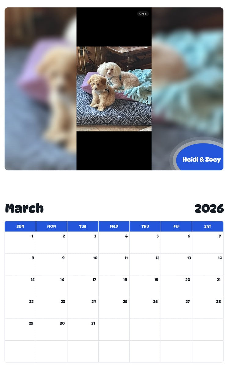 November 2025 - October 2026 Heidi & Zoey - Pawidols Pet Calendar