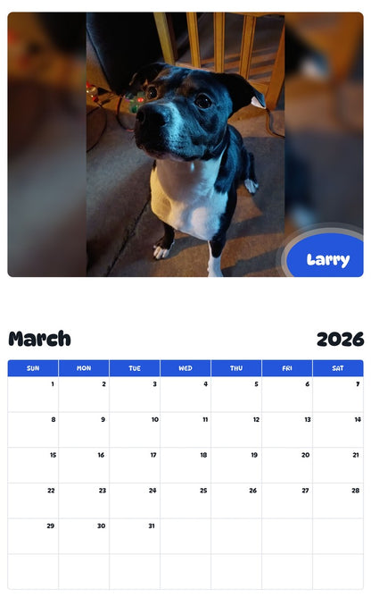 November 2025 - October 2026 Larry - Pawidols Pet Calendar