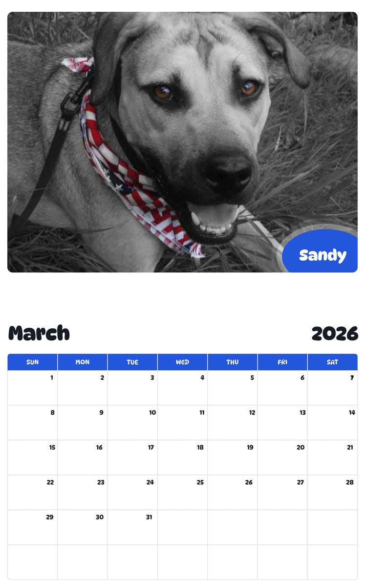 November 2025 - October 2026 Sandy - Pawidols Pet Calendar