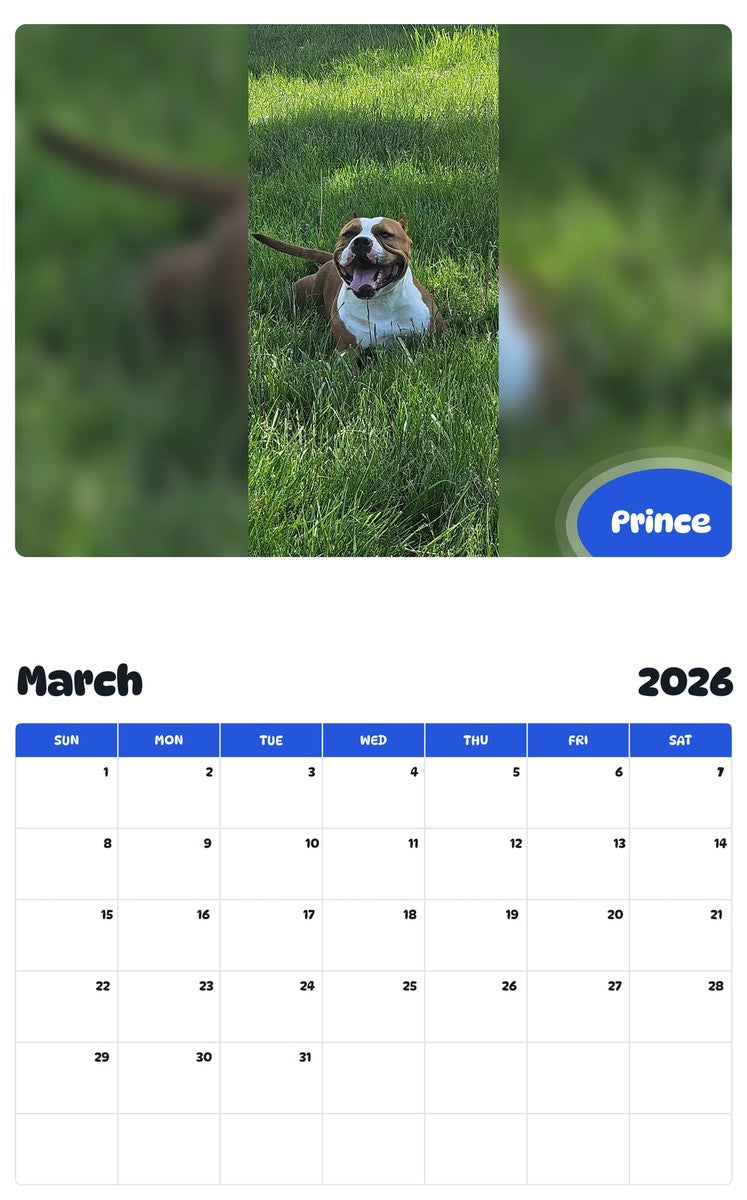 November 2025 - October 2026 Prince - Pawidols Pet Calendar