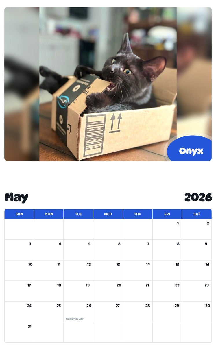 2026 - 2027 Onyx - Pawidols Pet Calendar