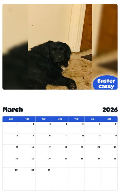 November 2025 - October 2026 Buster Casey - Pawidols Pet Calendar