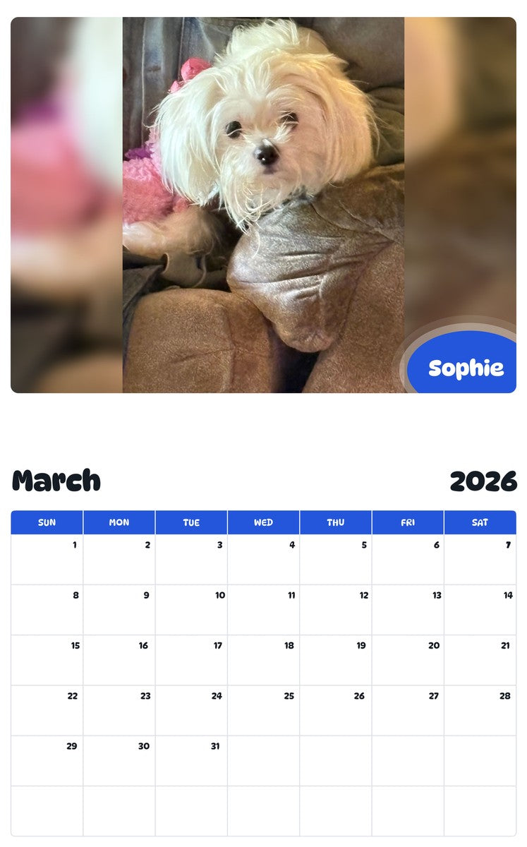 November 2025 - October 2026 Sophie - Pawidols Pet Calendar