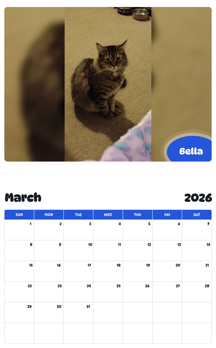November 2025 - October 2026 Bella - Pawidols Pet Calendar