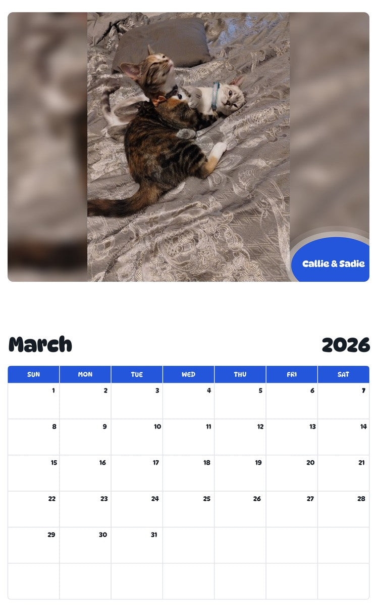 November 2025 - October 2026 Callie & Sadie - Pawidols Pet Calendar