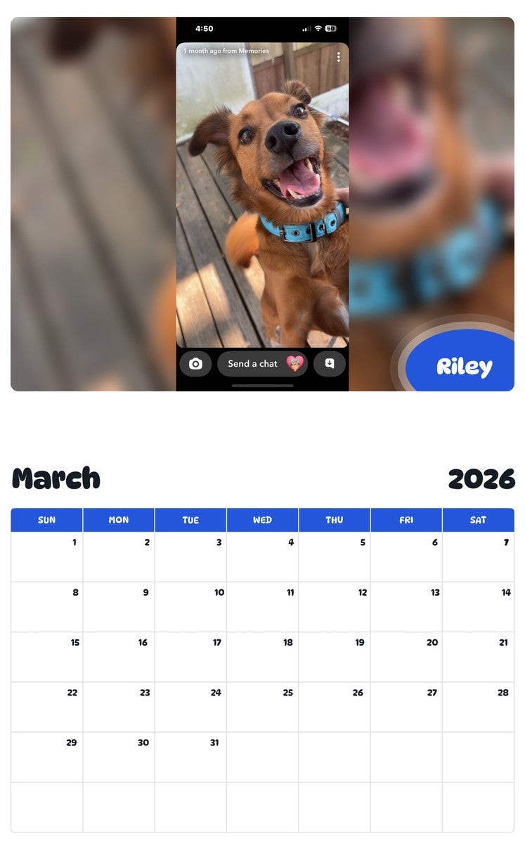 November 2025 - October 2026 Riley - Pawidols Pet Calendar