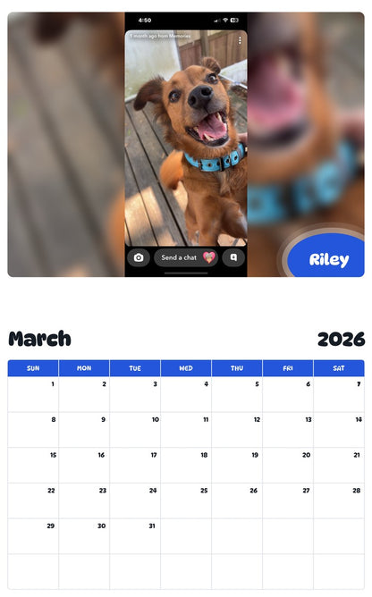 November 2025 - October 2026 Riley - Pawidols Pet Calendar