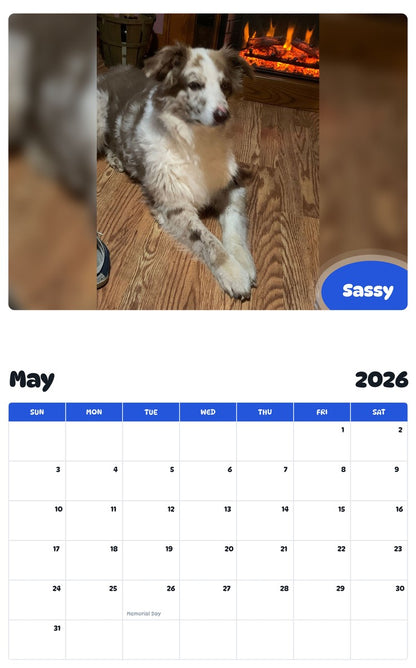 2026 - 2027 Sassy - Pawidols Pet Calendar