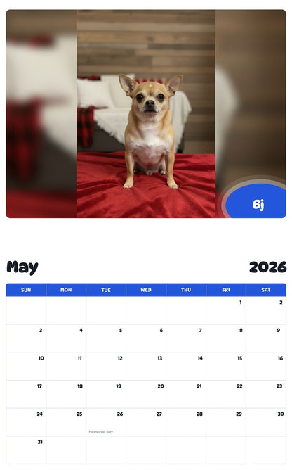 2026 - 2027 Bj - Pawidols Pet Calendar