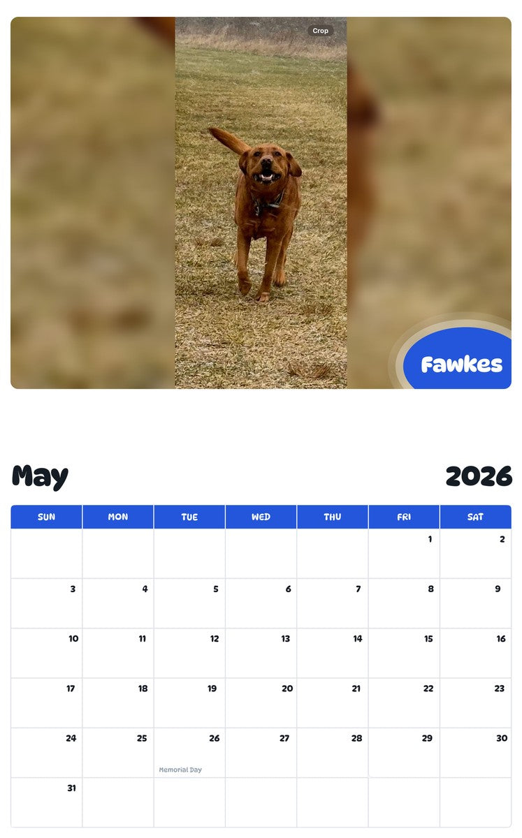 2026 - 2027 Fawkes - Pawidols Pet Calendar