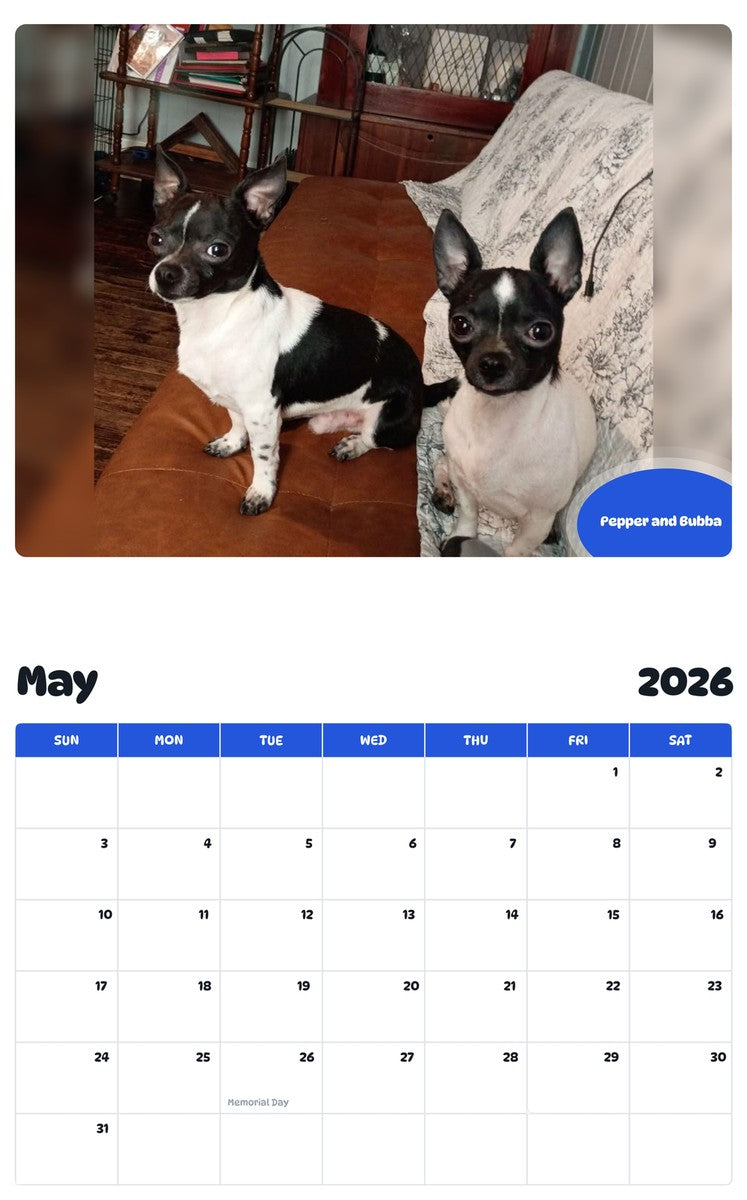 2026 - 2027 Pepper and Bubba - Pawidols Pet Calendar