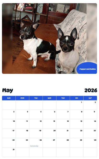 2026 - 2027 Pepper and Bubba - Pawidols Pet Calendar