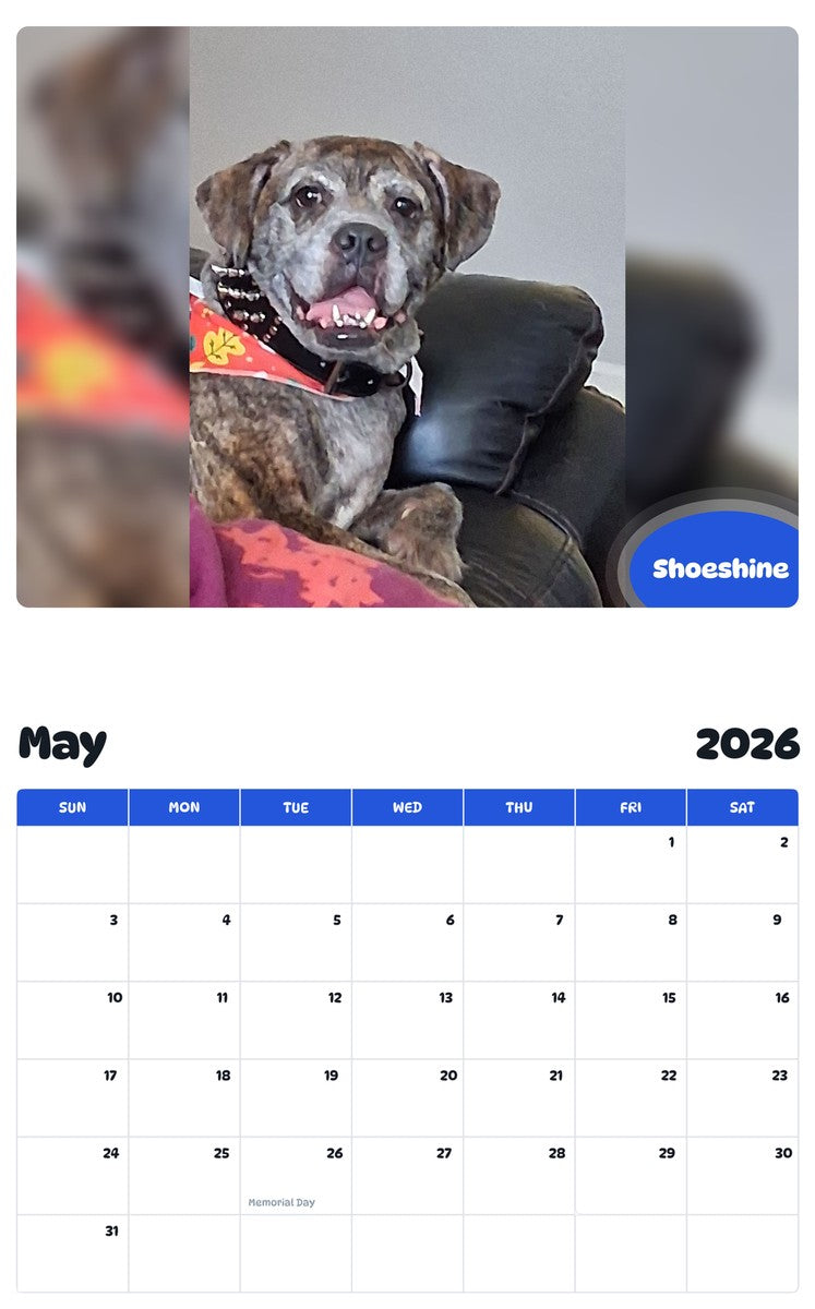2026 - 2027 Shoeshine - Pawidols Pet Calendar