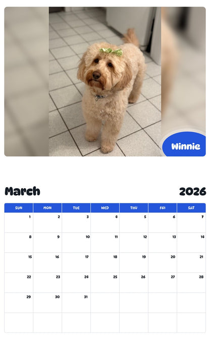 November 2025 - October 2026 Winnie - Pawidols Pet Calendar