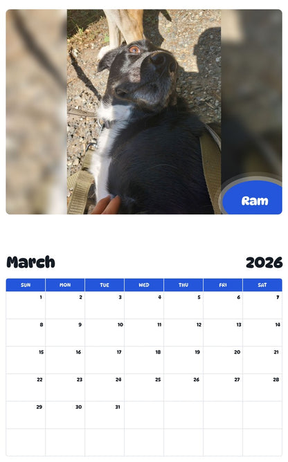 November 2025 - October 2026 Ram - Pawidols Pet Calendar