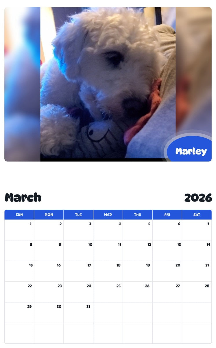 November 2025 - October 2026 Marley - Pawidols Pet Calendar