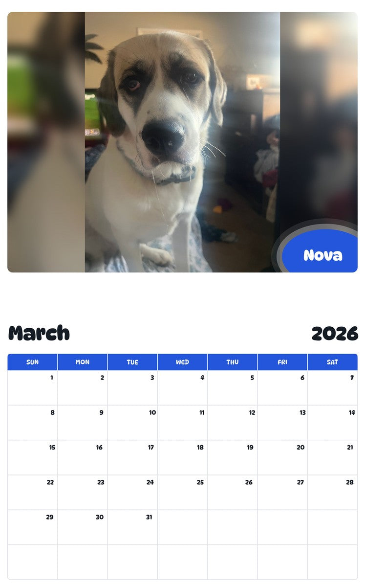 November 2025 - October 2026 Nova - Pawidols Pet Calendar