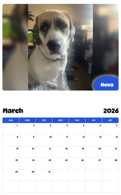 November 2025 - October 2026 Nova - Pawidols Pet Calendar