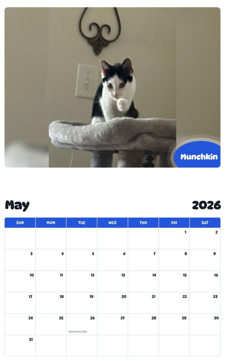 2026 - 2027 Munchkin - Pawidols Pet Calendar