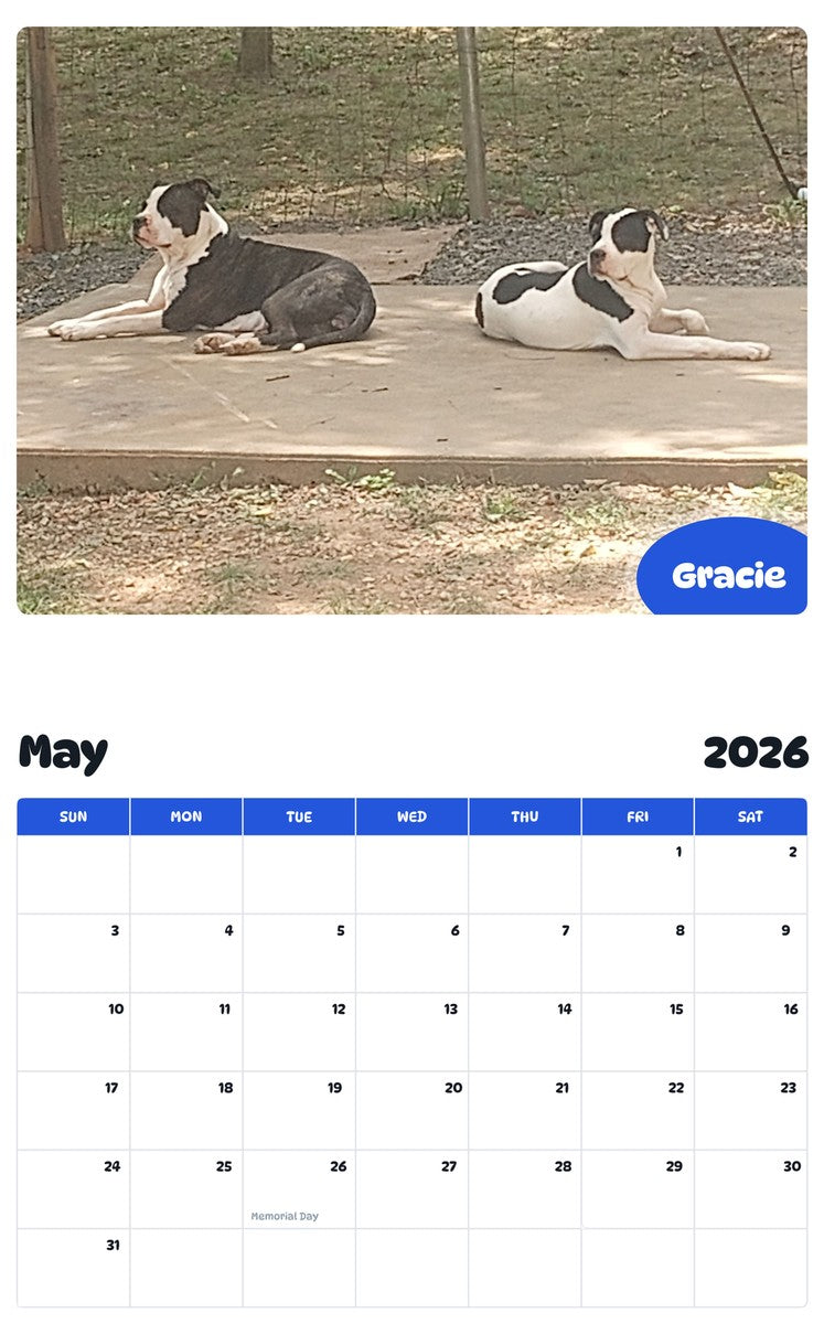 2026 - 2027 Gracie - Pawidols Pet Calendar