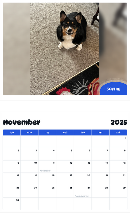 July 2025 - June 2026 Sophie - Pawidols Pet Calendar