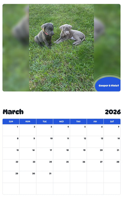 November 2025 - October 2026 Cooper & Violet - Pawidols Pet Calendar