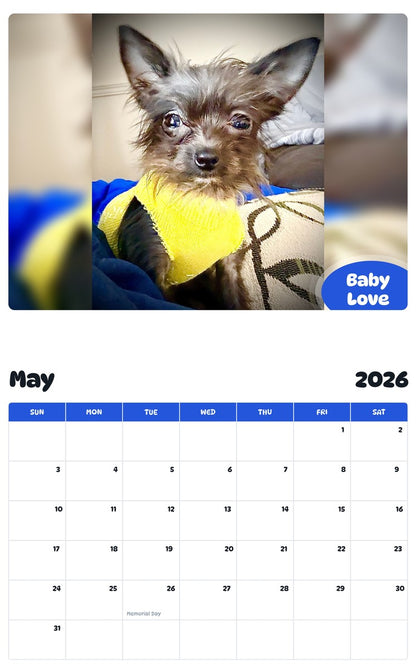 2026 - 2027 Baby Love - Pawidols Pet Calendar