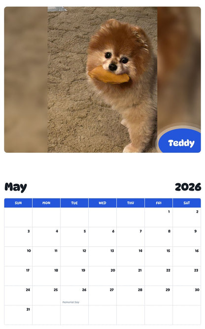 2026 - 2027 Teddy - Pawidols Pet Calendar