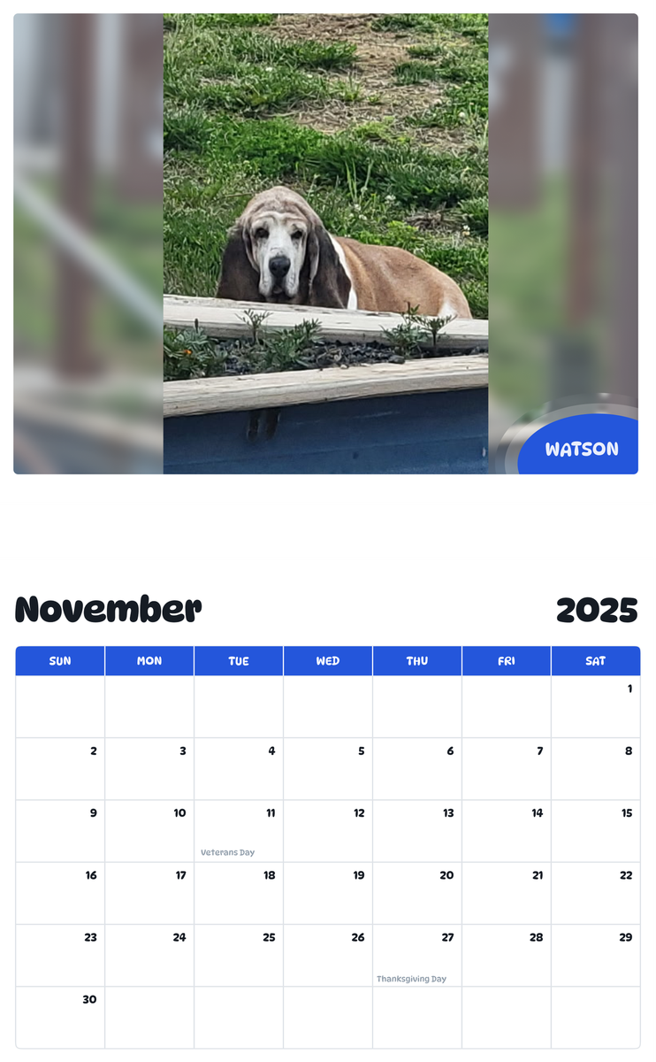 July 2025 - June 2026 Watson - Pawidols Pet Calendar