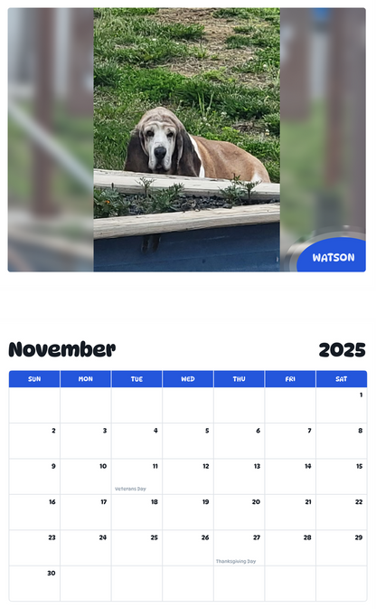July 2025 - June 2026 Watson - Pawidols Pet Calendar