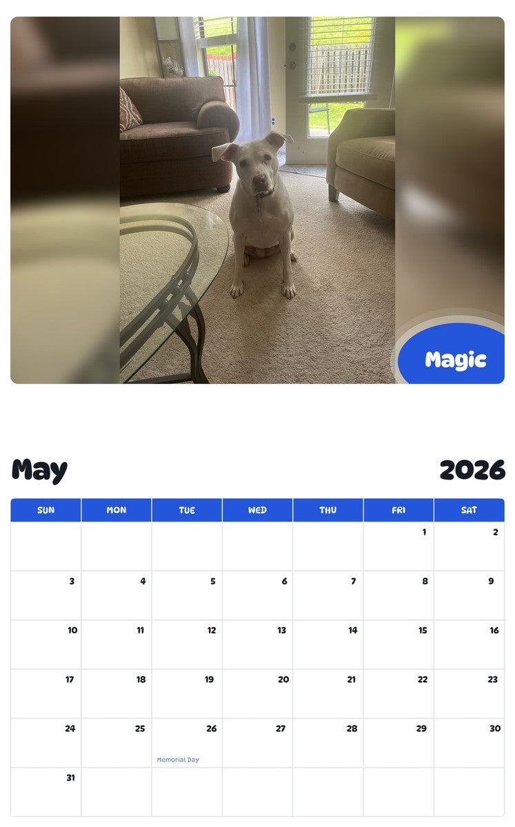 2026 - 2027 Magic - Pawidols Pet Calendar