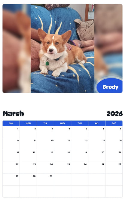 November 2025 - October 2026 Brody - Pawidols Pet Calendar