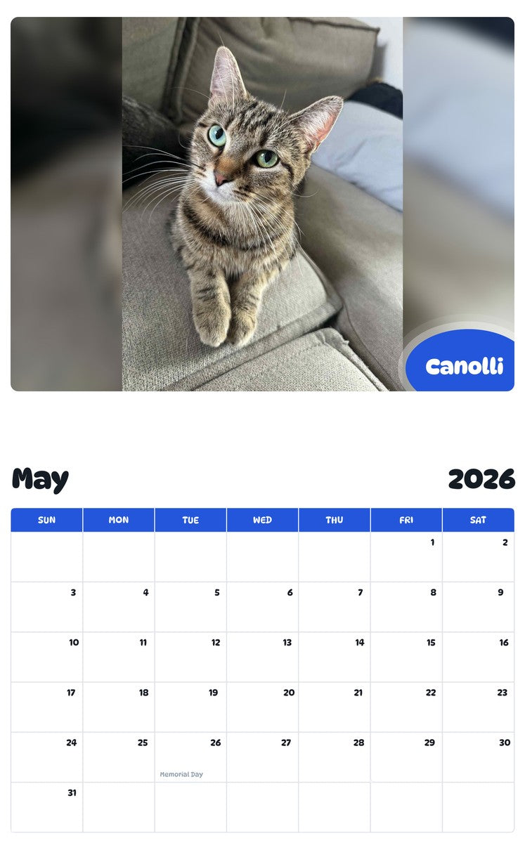 2026 - 2027 Canolli - Pawidols Pet Calendar