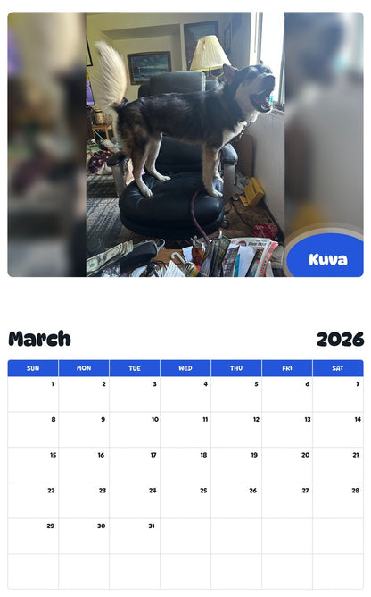 November 2025 - October 2026 Kuva - Pawidols Pet Calendar