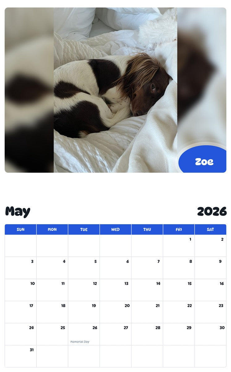 2026 - 2027 Zoe - Pawidols Pet Calendar