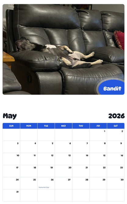 2026 - 2027 Bandit - Pawidols Pet Calendar