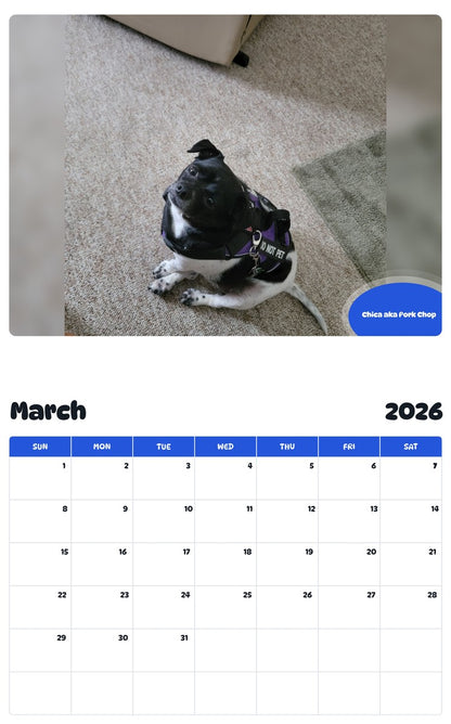 November 2025 - October 2026 Chica aka Pork Chop - Pawidols Pet Calendar