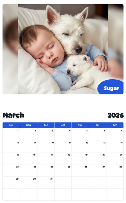 November 2025 - October 2026 Sugar - Pawidols Pet Calendar