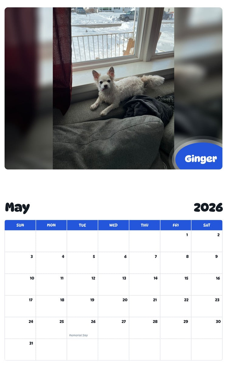 2026 - 2027 Ginger - Pawidols Pet Calendar