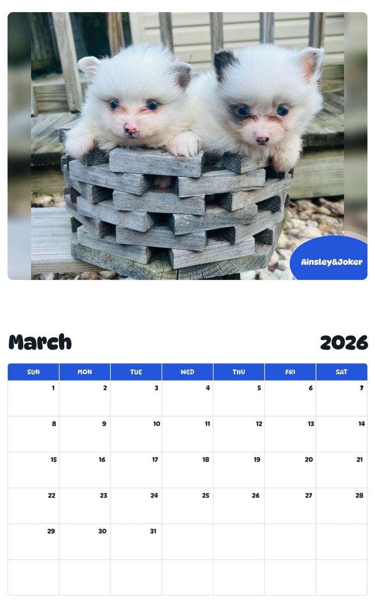 November 2025 - October 2026 Ainsley&Joker - Pawidols Pet Calendar